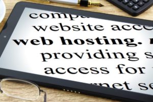 defination of web hosting