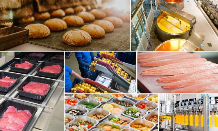 Easy to Start Business Ideas in Food Processing Industry in Maharashtra