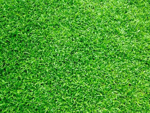 Things You Need to Know About Artificial Grass