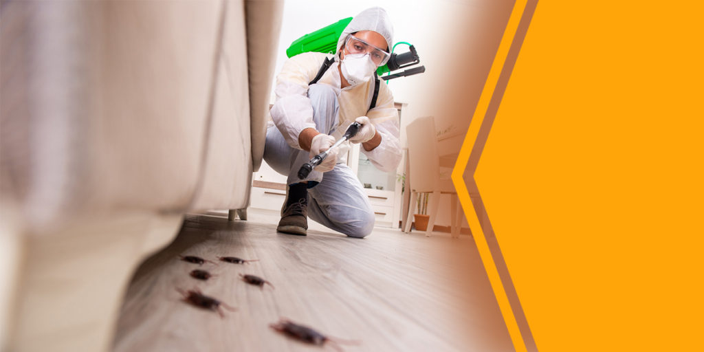 Pest Control Services