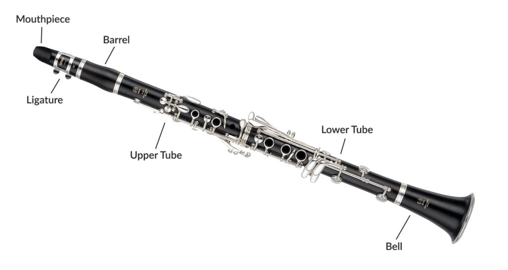 Amazing Reasons Why You Should Learn the Clarinet