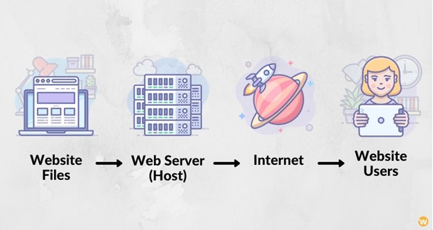 WHAT IS WEB HOSTING? BEGINNERS, LISTEN UP